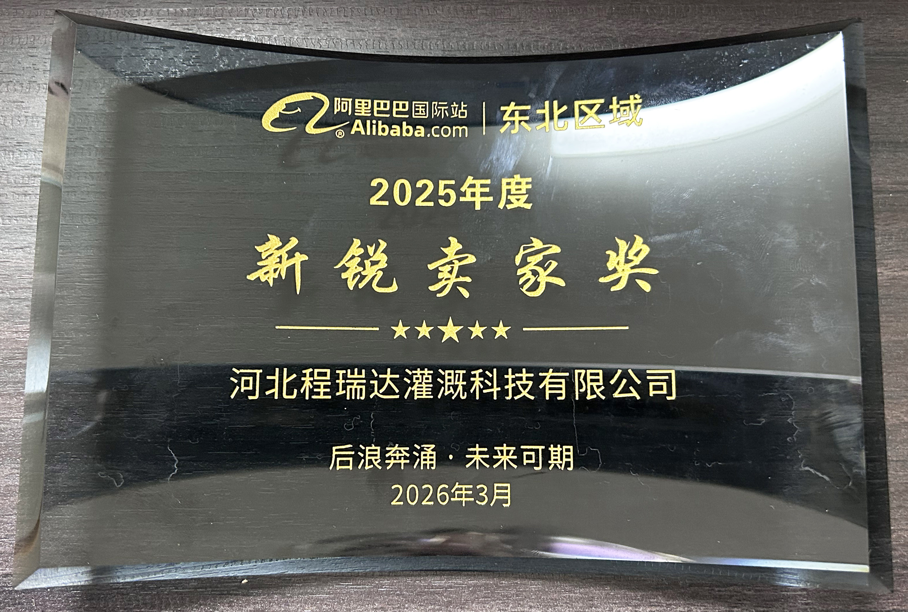 文山程瑞达灌溉 | 荣获阿里国际站新锐卖家奖